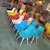 Import Hot sale factory direct selling pp plastic dining chair from China