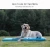 Import Hot sale Multi-use pet mattress Dog pad with no-spill water bowl pvc tarpaulin from China