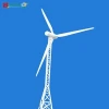 Hot sale!30kw permanent magnet wind and solar hybrid electric generating windmills
