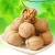 Import Hot sales Chinese snack Walnut with favorable price from China