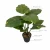 Import Indoor simulation green plant potted plant set tropical rainforest wind floor decoration landscape living room office landscapin from China