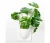 Import Indoor table decor ceramic hanging pot wall succulent artificial plant from China