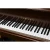 Import Japan world leading C5E Yamaha professional used piano keyboard from China