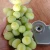 Import Korea Grown Fruit Green White Grapes Seowooha Shine Muscat Fresh Delicious High Sugar Naturally Sweet  Healthy Fruits for family from South Korea