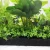 Import landscaping artificial living wall, outdoor green plant wall , artificial ornamental plants for walls from China