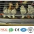Import Large Scale Poultry Farm Automatic Equipment 50000 Chickens House Pullet Cage from China