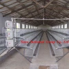 Latest Poultry Farm Design Let Our Experts Give You The Best Advise