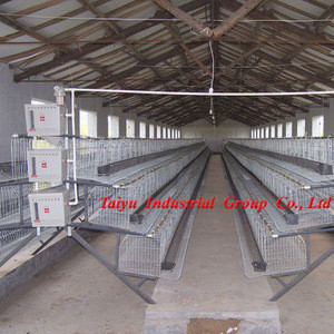 poultry farm design