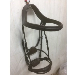 leather horse Bridle