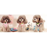 Lovely Strawberry Pattern Style Soft Harness and Leash Dog Leads Set For Small Dog Harness