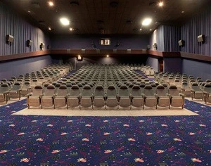 Luxury Cinema Carpet, Theater Carpet, Nylon Printing Carpet