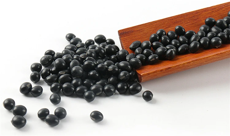 Make canned black beans black beans Pakistan black vanilla beans
