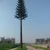 Import manufacturer direct sale telecommunication artificial tree towers from China