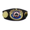 Manufacturer Professional Custom Champion Belt Heavy Duty Big Metal Leather Wrestling Boxing Martial Arts Championship Belts
