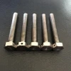 Mass production GR5 Titanium hex bolt