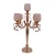 Import Metal candle holder lantern 5arms style metal centerpiece flower stand from China