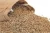 Import Milling Wheat- Feed Wheat- Buckwheat- Rye from Thailand