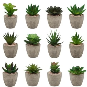 Mini artificial Succulent Plants Ideal for Both Indoor &amp; Outdoor with recycling pulp pot