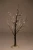 Import Mini Black branch Frosted Christmas led tree light from China