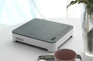 Mini Induction Cooker Induction Cooktop