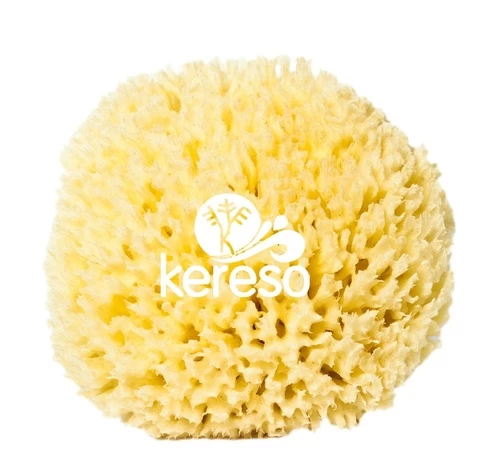Natural Sea sponges  HONEYCOMB premium type