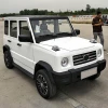 New 4 Seat SUV  Electric Vehicle 5.6 Kw Motor for Family Use