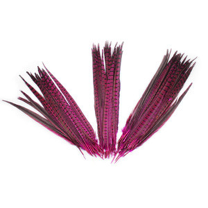 New Pretty Dyed Premium Ringneck Pheasant Tail Feathers Decoration