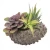Import New Product Artificial Plants And Flowers Mini Bonsai Succulent from Pakistan