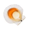 Oem Odm 3D PVC plastic fake seafood  sea food oysters scallop abalones barbecue squid mussels pipi urchin model