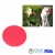 Import Old Navy Dog Silicone Soft Flexible Fly Disc Blank For Pets from China
