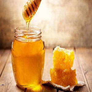 Original Raw Wholesale Honey Prices Sidr Honey