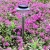 Import Outdoor 16 32LED Solar Light Landscape Path LED Solar Light Outdoor Yard Lamp Led Solar Lamp Garden Light from China