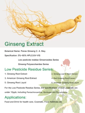 Panax Ginseng root extract Ginseng Extract Korean Red Ginseng Powder