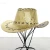 Import party halloween felt sequin glitter western cowboy hat MH-0840 from China