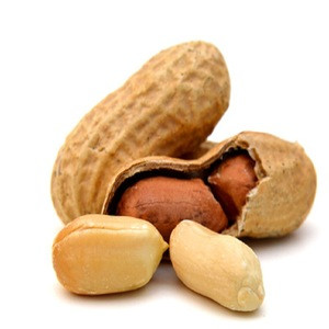 Peanut  Groundnut , peanut , Raw shelled peanuts