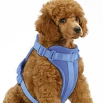 Pet chest strap, PVC waterproof dog walking rope, explosion-proof flush strap type dog traction rope