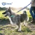 Import Pet Leashes Wholesale High Quality Dog Leash Nylon Reflective Retractable Dog Leash No Pull from China