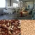 Import Pine nuts skin removing machine Nuts peeling machine Nuts peeler and remover from China