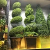 PJ498 new arrival 1.1m green spiral fake plant with pot wholesale