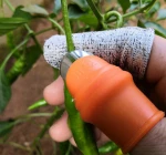 Plucking Device Thumb Knife For Cutting Vegetables Agricultural Finger Knife Finger Guard Cooking Tools Finger Protector