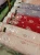 Import Polyester Microfiber Cotton Flannel stock lot fabric from China