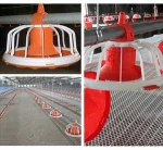 Poultry equipment