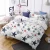 Import Printed queen king size home textile quilt cover bed set luxury duvets cover comforter bedding sets from China from China