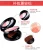 Import Private Label Blusher Brushes Case Blusher Palette from China
