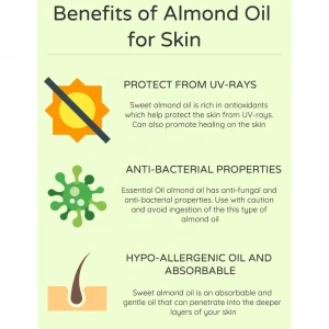 Private Label Skin Care OEM Essential Oil Bulk Sweet Almond Oil Price Body Massage Oil