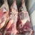 Import Professional Manufacturer Half Carcasses Bull Tenderloin Frozen Beef Meat from China