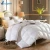 Import Professional Supply 100% Silk Microfiber Quilt Double White Duck Goose Down Duvet Cover from China