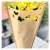 Import Punched Butterfly On Colorful Kraft Paper Flower Pots Sleeves With 100% Biodegradable And Fully Home Compostable from China