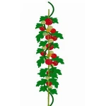 PVC Coated spiral plant plant spiral