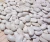 Import Qualities product peeled Split white Kidney beans from Philippines